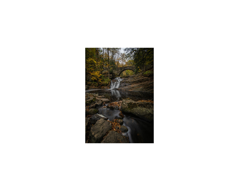 Vaughan Woods Waterfall