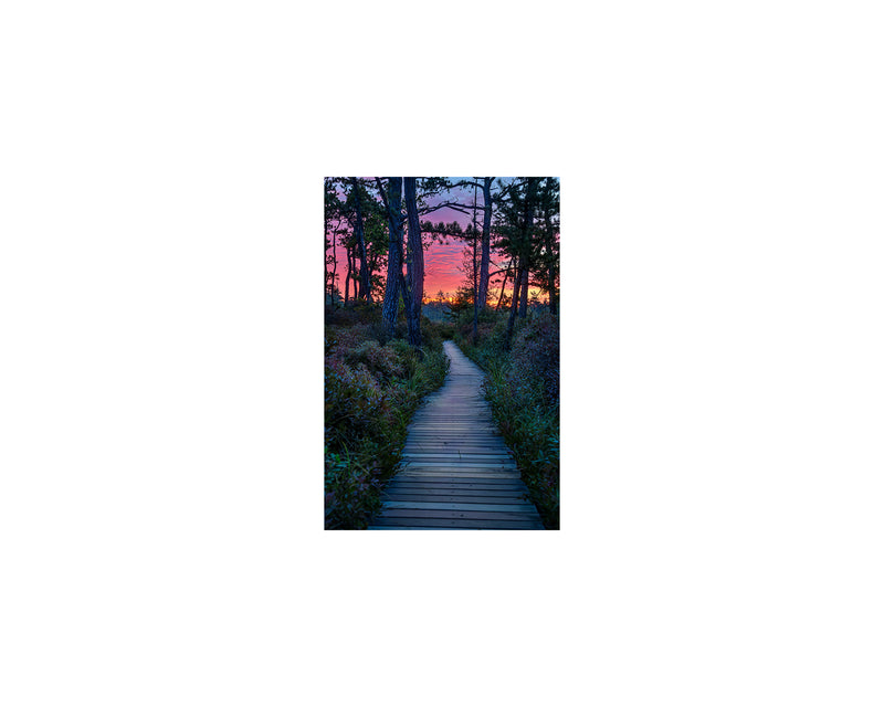 Saco Heath Sunrise, October 1 2022