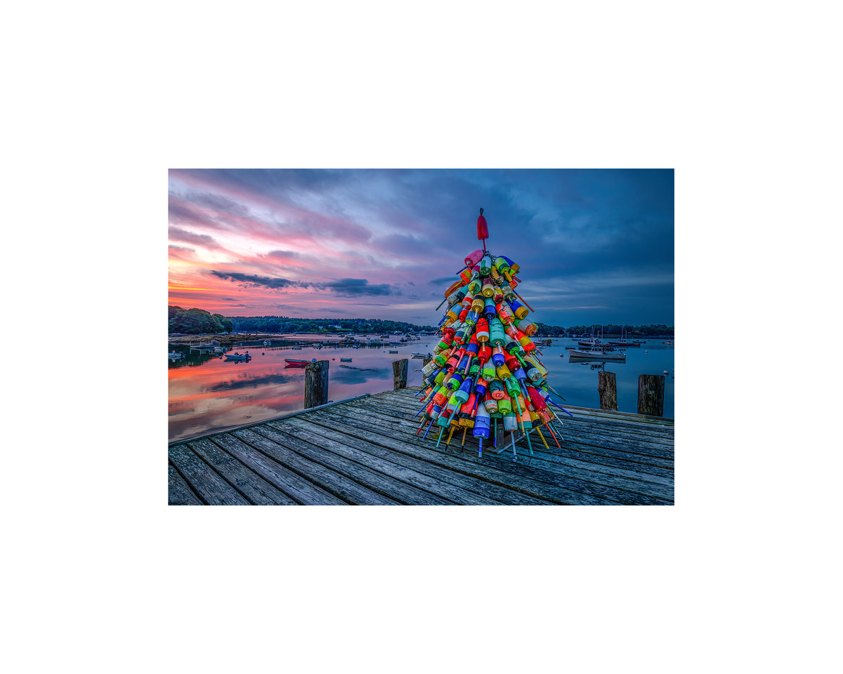 Friendship Buoy Tree Sunrise, July 21 2024