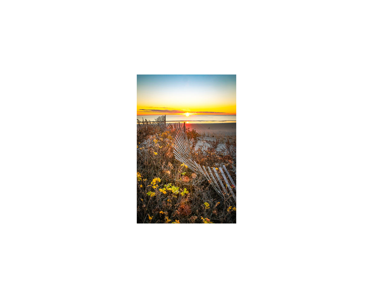 Ogunquit Beach Fence, November 20 2024